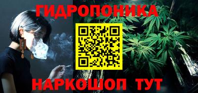 ECSTASY Лесосибирск