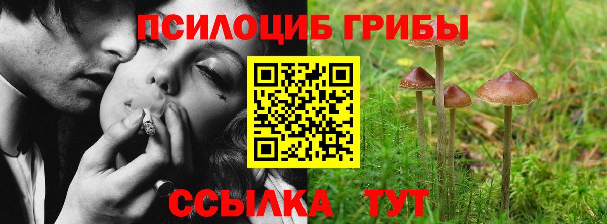 Тулун  Псилоцибиновые грибы MAGIC MUSHROOMS  Вход с VPN 